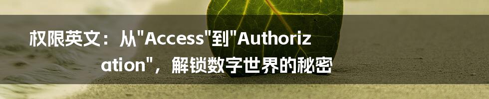 权限英文:从"Access"到"Authorization",解锁数字世界的秘密