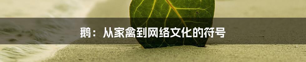 鹅：从家禽到网络文化的符号