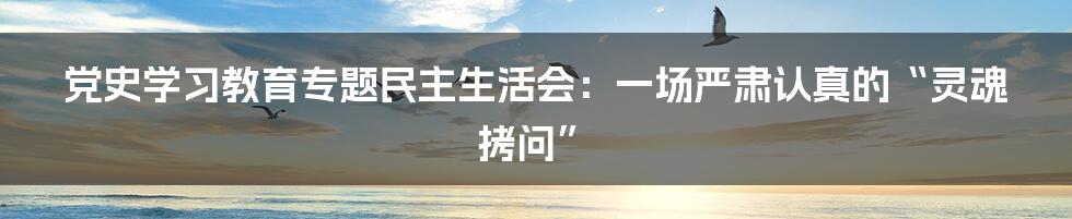 党史学习教育专题民主生活会:一场严肃认真的“灵魂拷问”