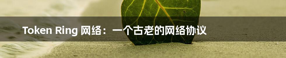 Token Ring 网络:一个古老的网络协议