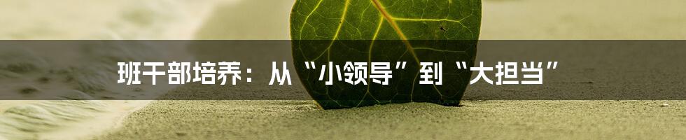 班干部培养:从“小领导”到“大担当”
