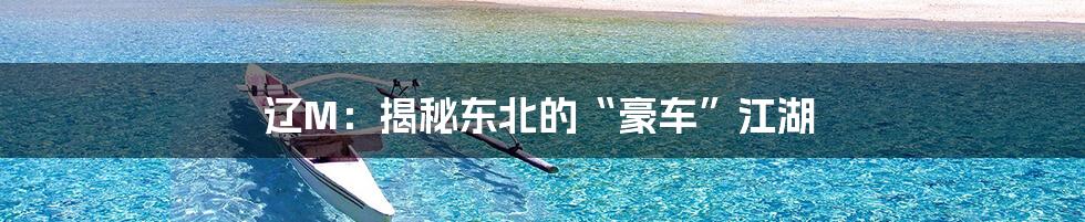 辽M：揭秘东北的“豪车”江湖