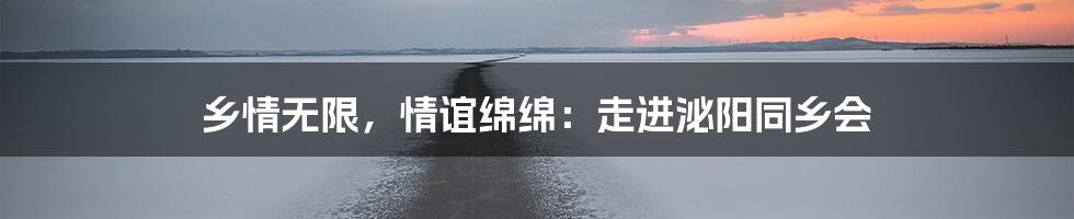 乡情无限，情谊绵绵：走进泌阳同乡会