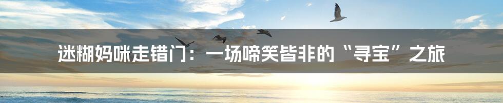 迷糊妈咪走错门：一场啼笑皆非的“寻宝”之旅