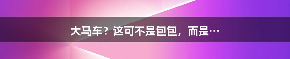 大马车？这可不是包包，而是…