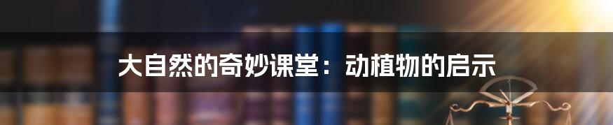大自然的奇妙课堂:动植物的启示