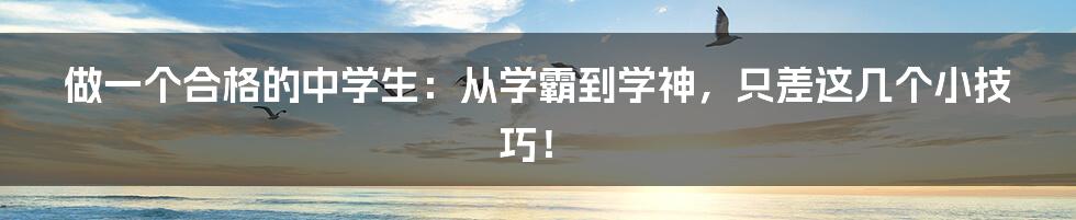 做一个合格的中学生：从学霸到学神，只差这几个小技巧！