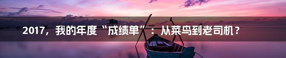 2017,我的年度“成绩单”:从菜鸟到老司机?