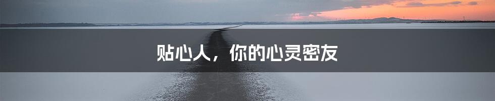 贴心人,你的心灵密友