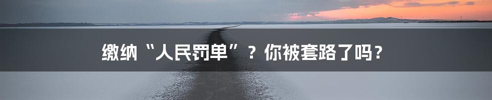 缴纳“人民罚单”?你被套路了吗?