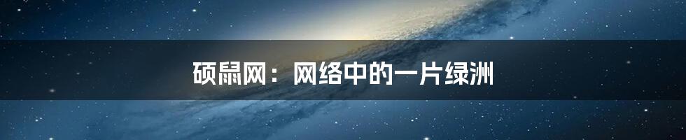 硕鼠网：网络中的一片绿洲