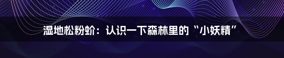 湿地松粉蚧：认识一下森林里的“小妖精”