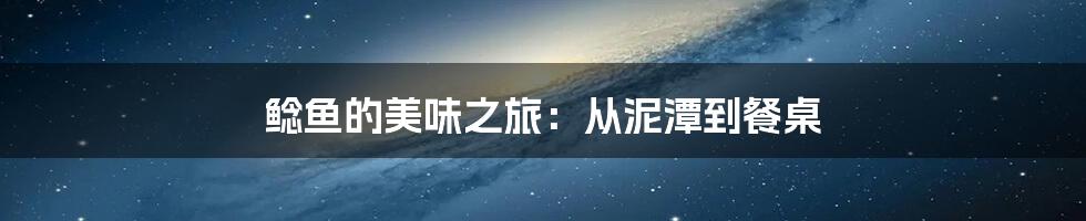 鲶鱼的美味之旅:从泥潭到餐桌