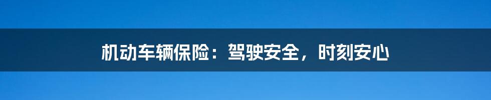 机动车辆保险:驾驶安全,时刻安心