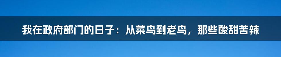 我在政府部门的日子:从菜鸟到老鸟,那些酸甜苦辣