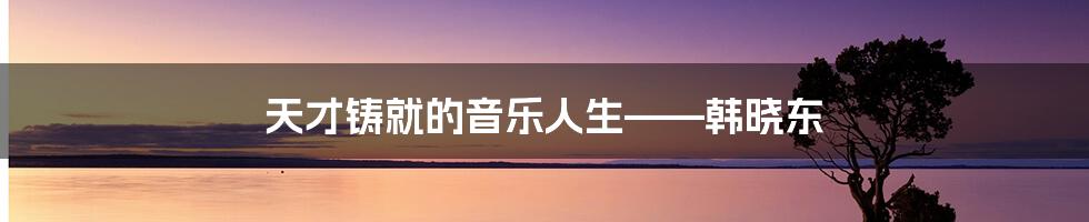天才铸就的音乐人生——韩晓东