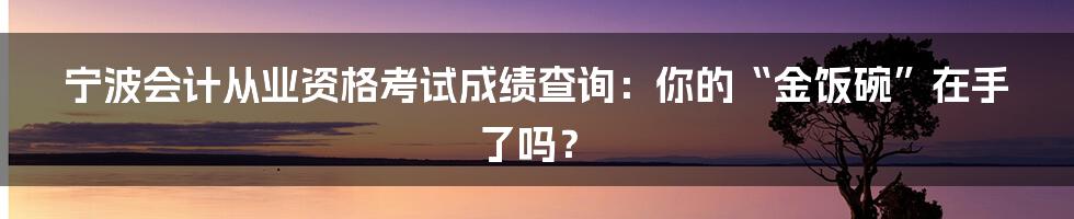 宁波会计从业资格考试成绩查询:你的“金饭碗”在手了吗?