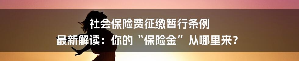 社会保险费征缴暂行条例 最新解读：你的“保险金”从哪里来？