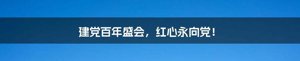 建党百年盛会,红心永向党!
