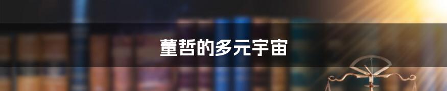 董哲的多元宇宙