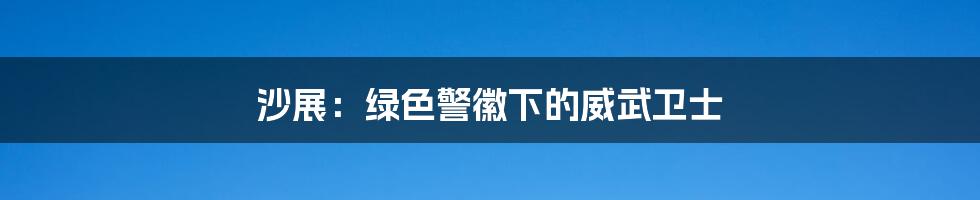 沙展:绿色警徽下的威武卫士