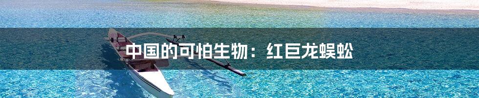 中国的可怕生物:红巨龙蜈蚣