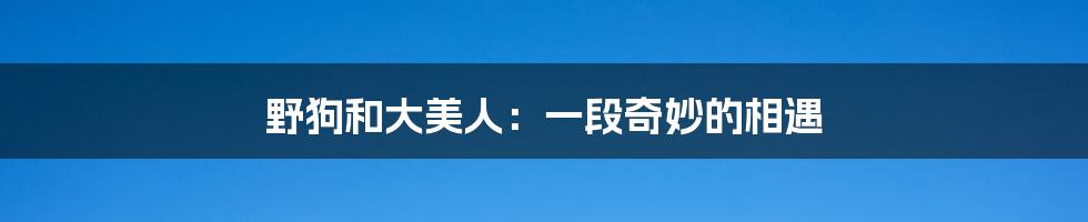 野狗和大美人:一段奇妙的相遇