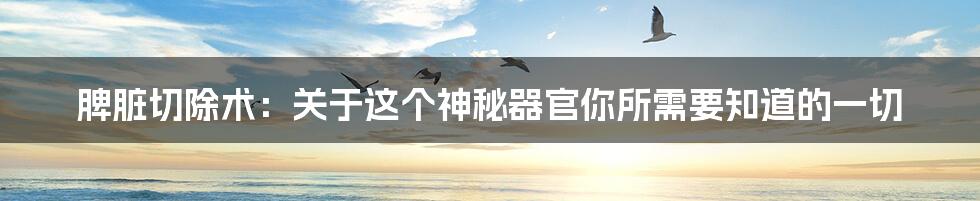 脾脏切除术:关于这个神秘器官你所需要知道的一切