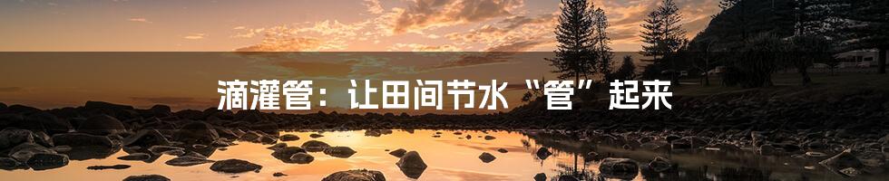滴灌管:让田间节水“管”起来