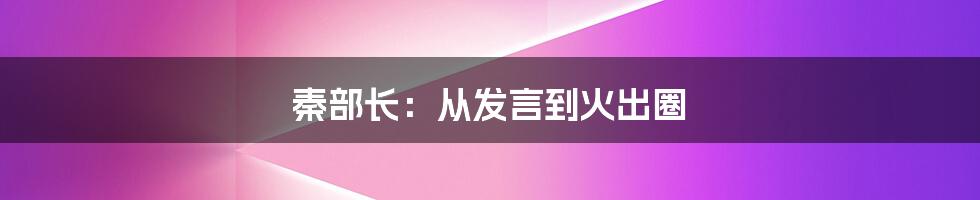 秦部长：从发言到火出圈