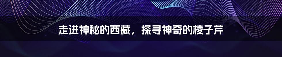 走进神秘的西藏，探寻神奇的棱子芹