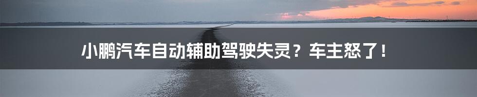 小鹏汽车自动辅助驾驶失灵?车主怒了!