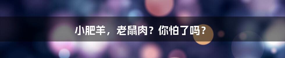 小肥羊，老鼠肉？你怕了吗？