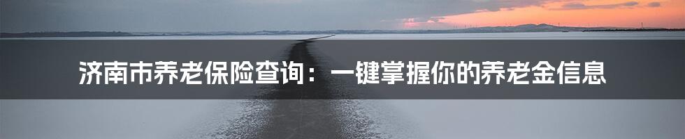 济南市养老保险查询：一键掌握你的养老金信息