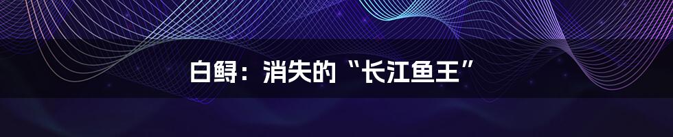 白鲟:消失的“长江鱼王”