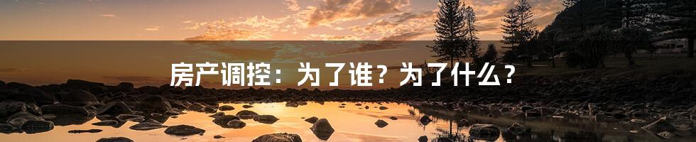 房产调控:为了谁?为了什么?