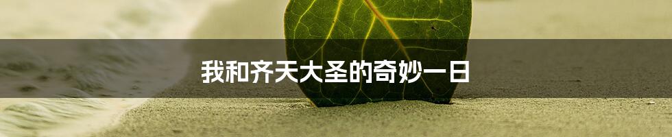 我和齐天大圣的奇妙一日