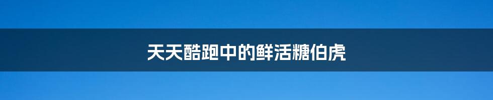 天天酷跑中的鲜活糖伯虎