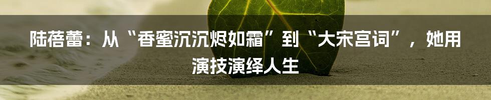 陆蓓蕾:从“香蜜沉沉烬如霜”到“大宋宫词”,她用演技演绎人生