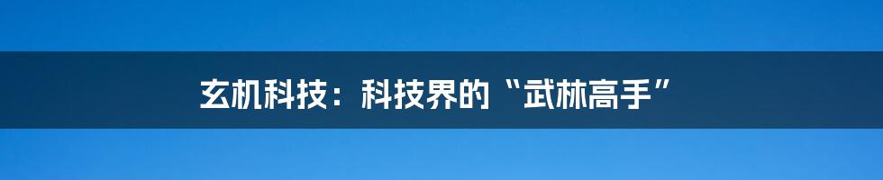 玄机科技：科技界的“武林高手”