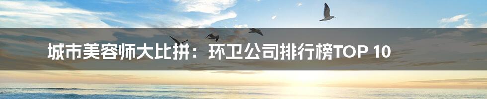 城市美容师大比拼:环卫公司排行榜TOP 10