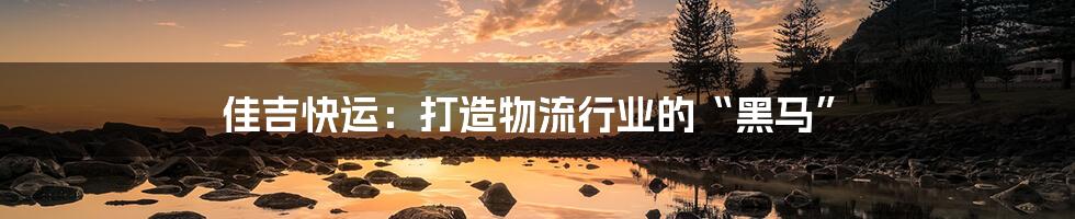 佳吉快运:打造物流行业的“黑马”