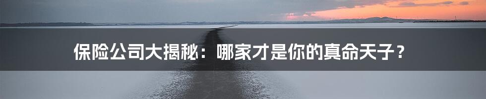 保险公司大揭秘:哪家才是你的真命天子?