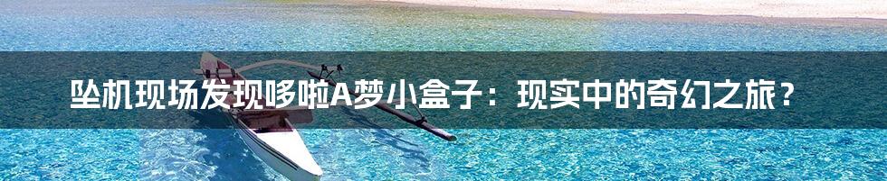 坠机现场发现哆啦A梦小盒子:现实中的奇幻之旅?