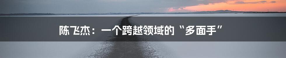 陈飞杰:一个跨越领域的“多面手”