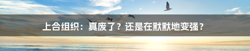 上合组织:真废了?还是在默默地变强?
