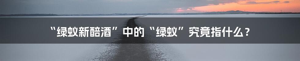 “绿蚁新醅酒”中的“绿蚁”究竟指什么?