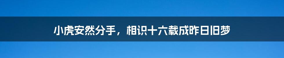 小虎安然分手,相识十六载成昨日旧梦