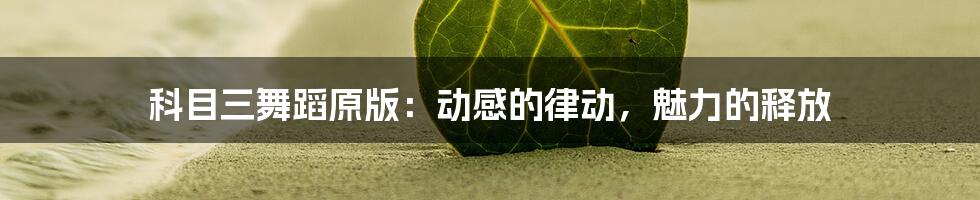 科目三舞蹈原版:动感的律动,魅力的释放