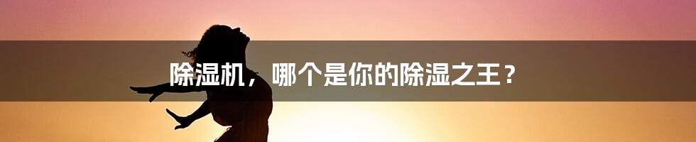 除湿机,哪个是你的除湿之王?